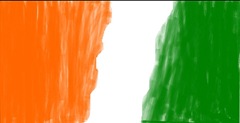 india_flag_sketch1